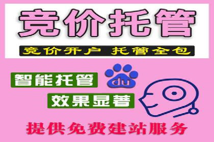 竞价开户实战：成功案例解析